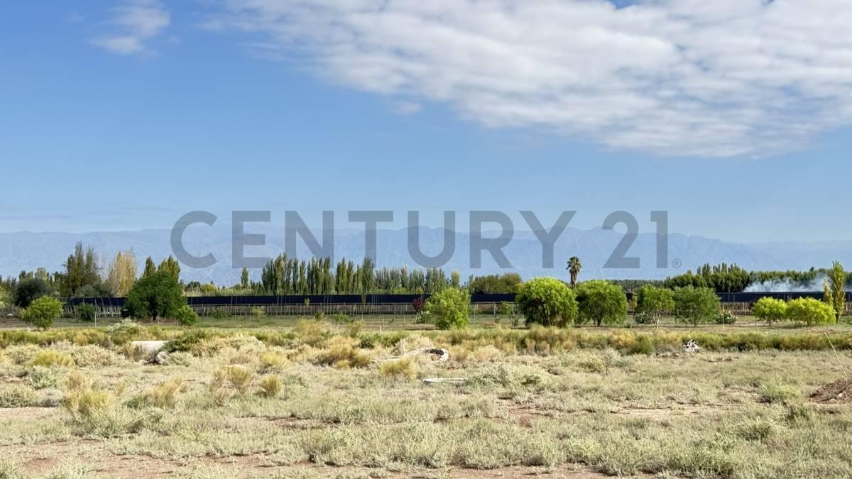 Foto de Venta de terreno, imagen 3