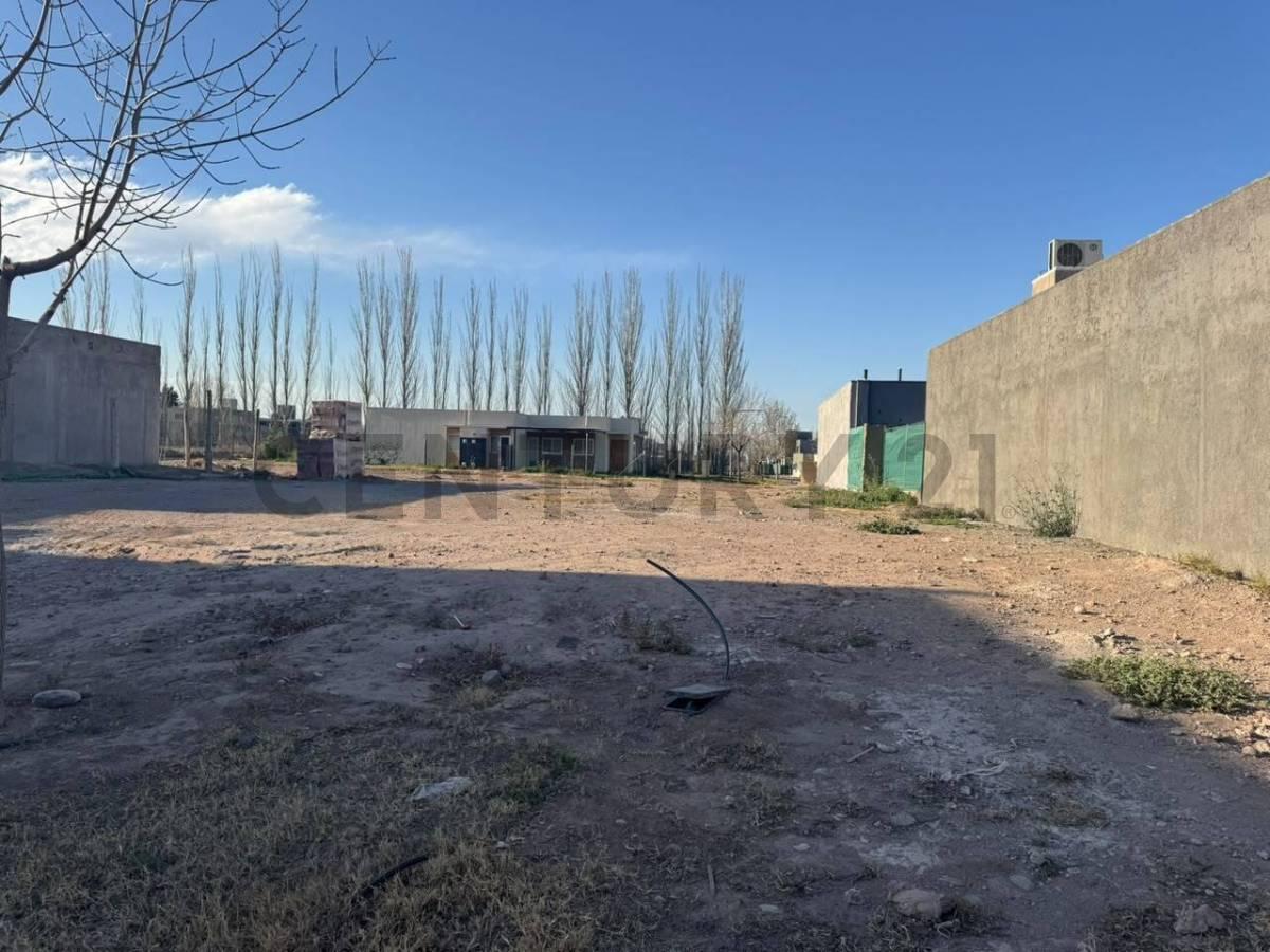 Foto de C21 Lucio Barroso Vende Lote B° La Luisa, imagen 5
