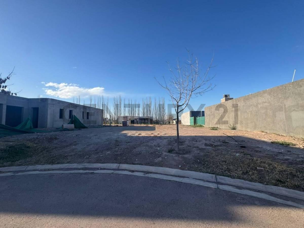 Foto de C21 Lucio Barroso Vende Lote B° La Luisa, imagen 4
