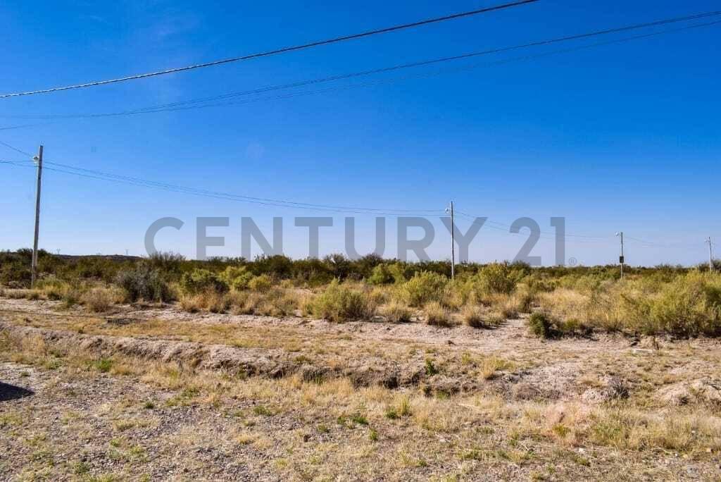 Foto de LOTE EN VENTA EN EL CARRIZAL, MENDOZA, imagen 2