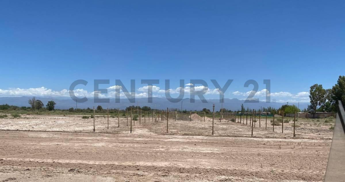 Foto de VENTA DE LOTE GUAYMALLEN, imagen 4