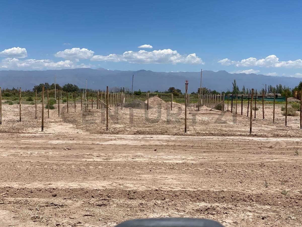 Foto de VENTA DE LOTE GUAYMALLEN, imagen 2