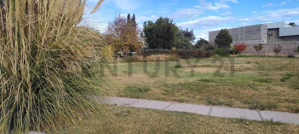 Foto de Terrenos en Barrio La Concepción., imagen 3