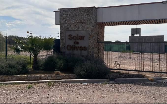 Foto de LOTES BARRIO SOLARES DE OLIVOS - MAIPU EN VENTA, imagen 1