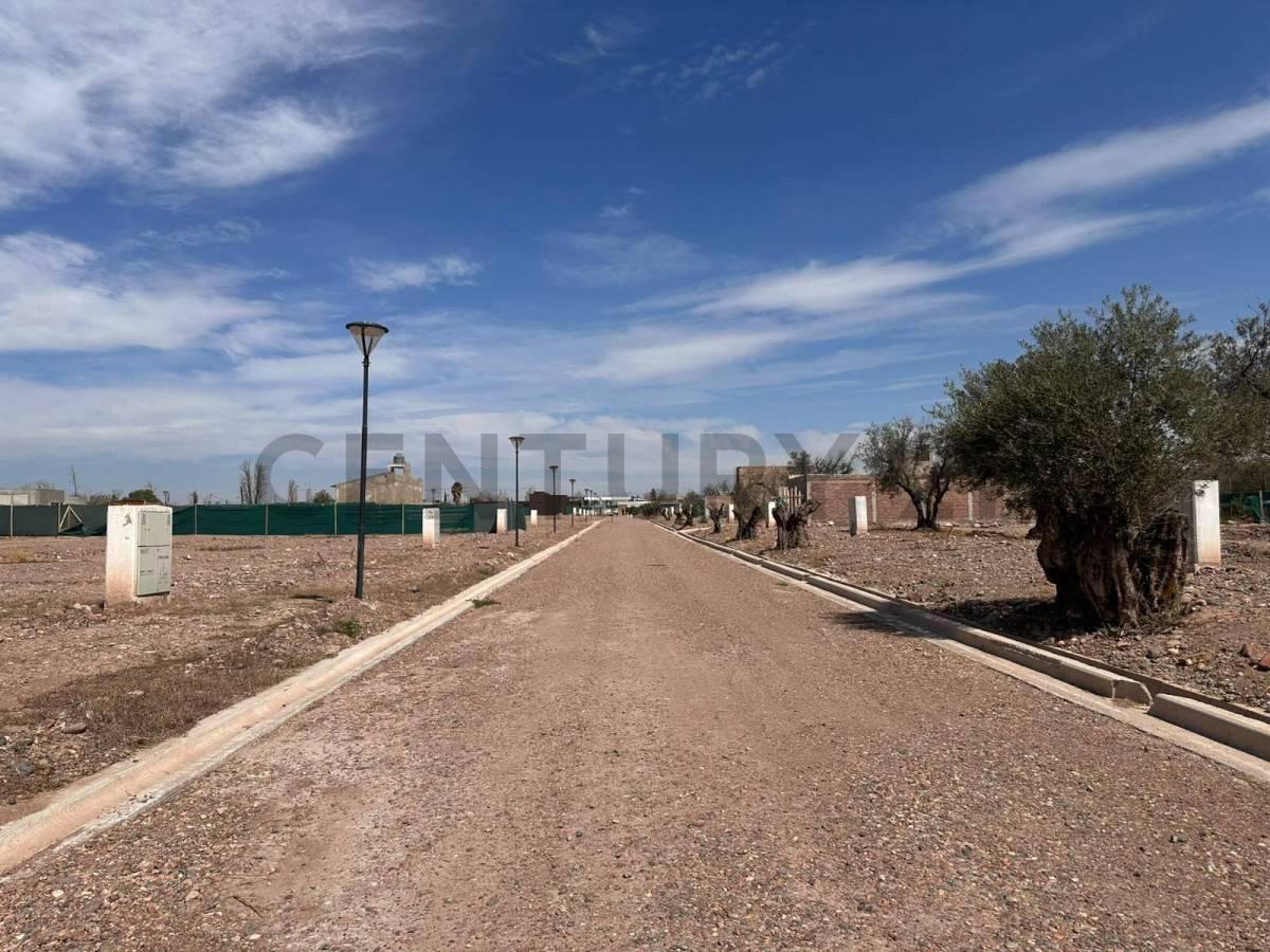 Foto de LOTES BARRIO SOLARES DE OLIVOS - MAIPU EN VENTA, imagen 4