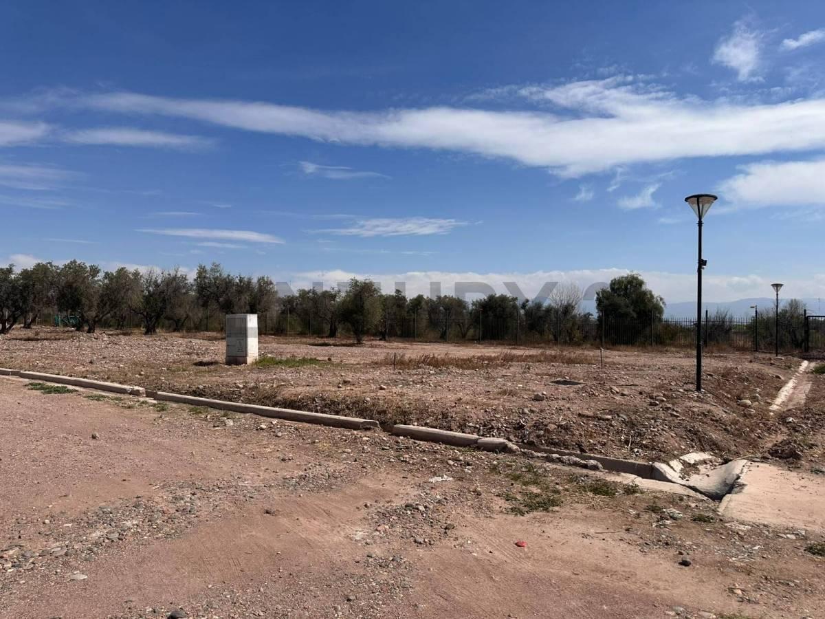 Foto de LOTES BARRIO SOLARES DE OLIVOS - MAIPU EN VENTA, imagen 5
