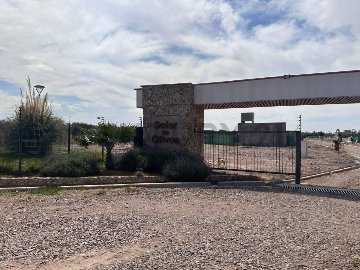 Foto de LOTES BARRIO SOLARES DE OLIVOS - MAIPU EN VENTA, imagen 3