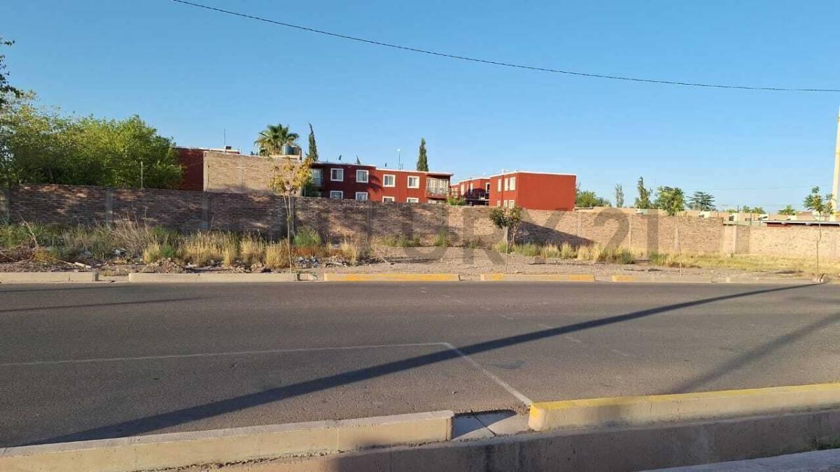 Foto de CENTURY 21 LUCIO BARROSO VENDE LOTE, imagen 4