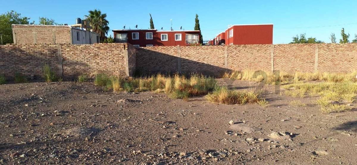 Foto de CENTURY 21 LUCIO BARROSO VENDE LOTE, imagen 3