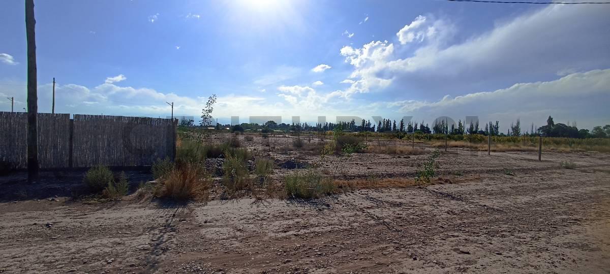 Foto de Lote en venta en Maipu, imagen 5