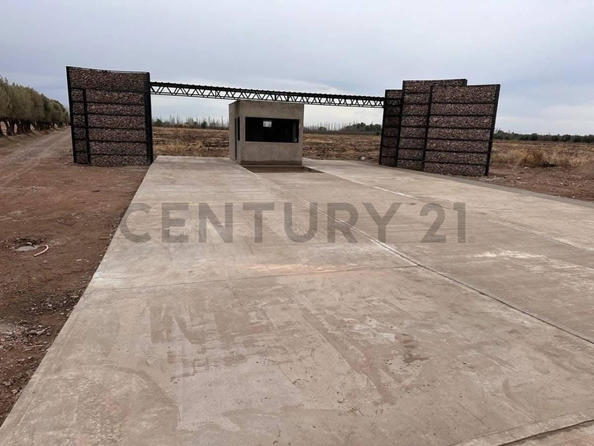 Foto de Lotes en venta Barrio Privado Ancellotta San Martín, imagen 4
