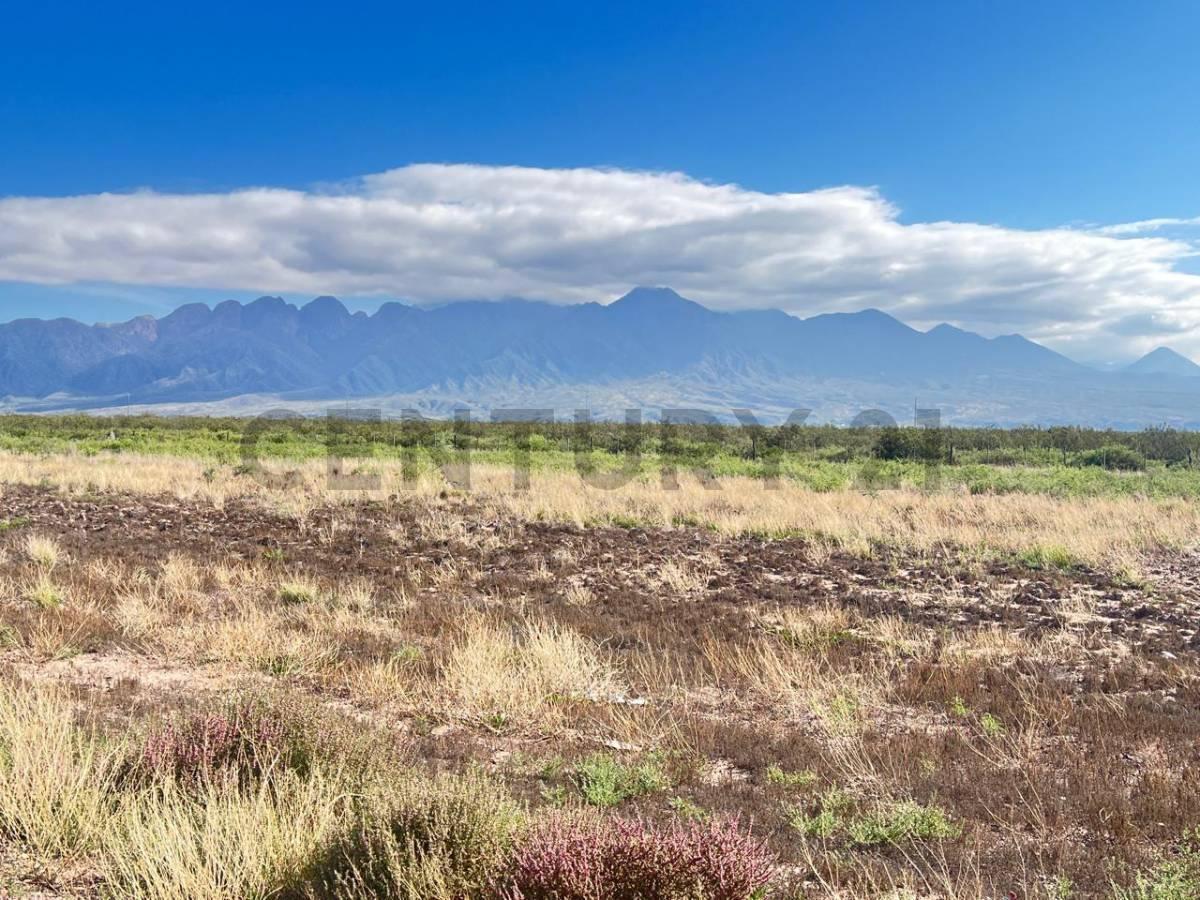Foto de Se vende terreno en ruta 7, imagen 3