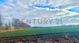 Foto de VENTA FINCA TUNUYÁN DE 17 HECTAREAS CON CULTIVOS, imagen 5