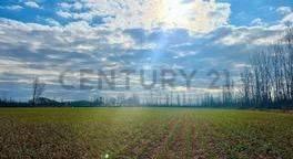 Foto de VENTA FINCA TUNUYÁN DE 17 HECTAREAS CON CULTIVOS, imagen 3