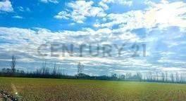 Foto de VENTA FINCA TUNUYÁN DE 17 HECTAREAS CON CULTIVOS, imagen 4