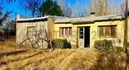 Foto de VENTA FINCA TUNUYÁN DE 17 HECTAREAS CON CULTIVOS, imagen 2