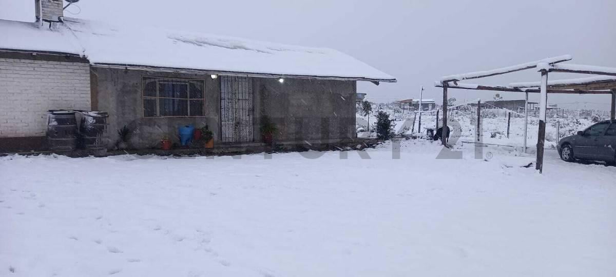 Foto de CASA EN VENTA PEDEMONTE, imagen 4