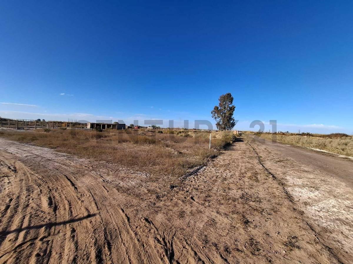 Foto de LOTES EN VENTA, imagen 5