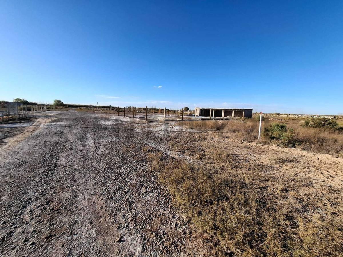 Foto de LOTES EN VENTA, imagen 3