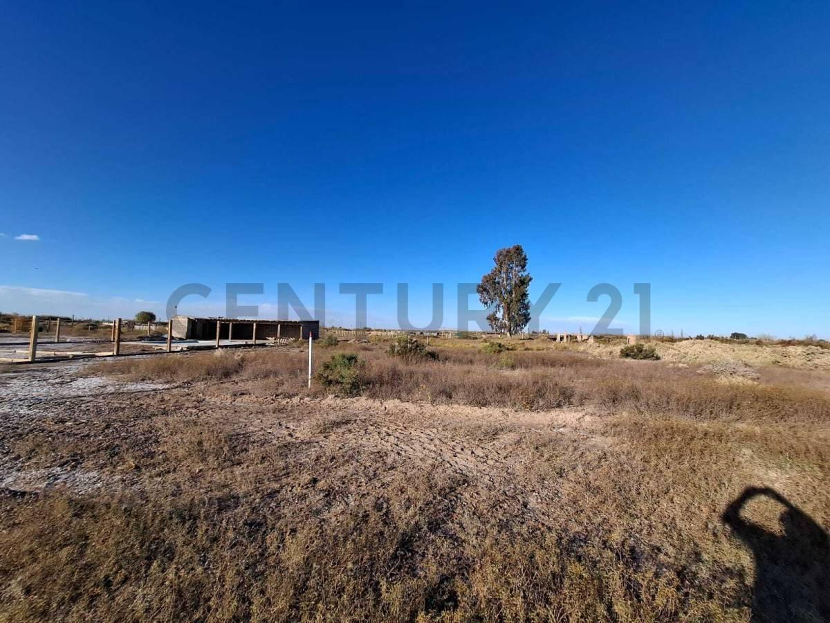 Foto de LOTES EN VENTA, imagen 1