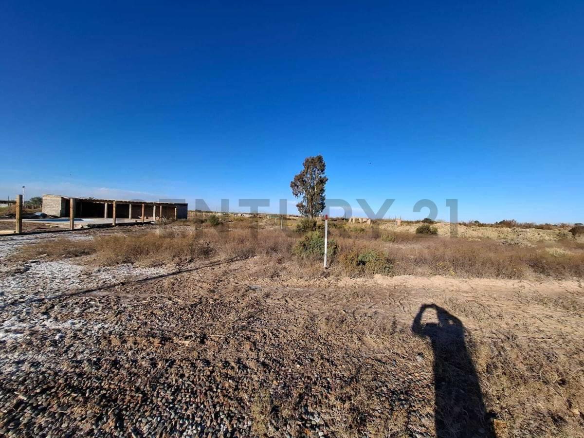 Foto de LOTES EN VENTA, imagen 2