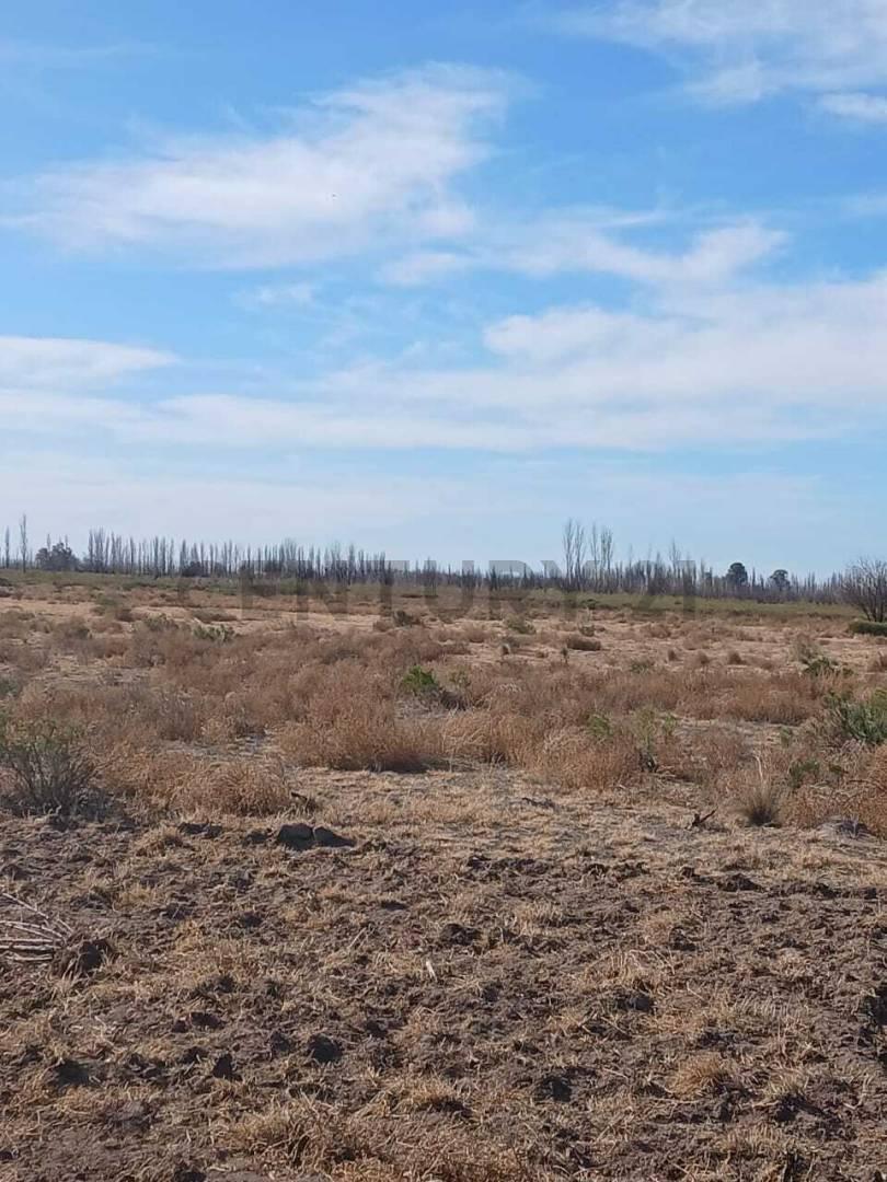 Foto de Se vende terreno en San Rafael, imagen 5