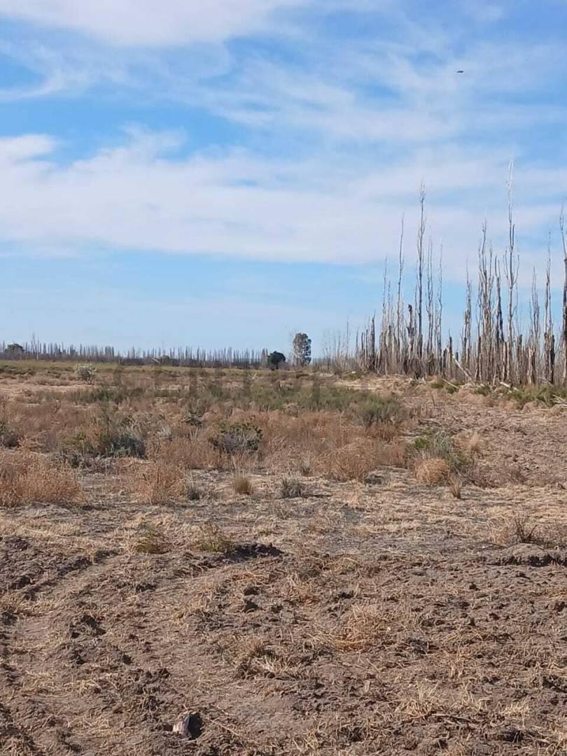 Foto de Se vende terreno en San Rafael, imagen 3