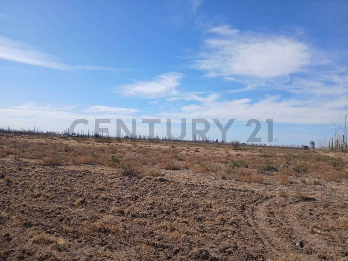 Foto de Se vende terreno en San Rafael, imagen 1