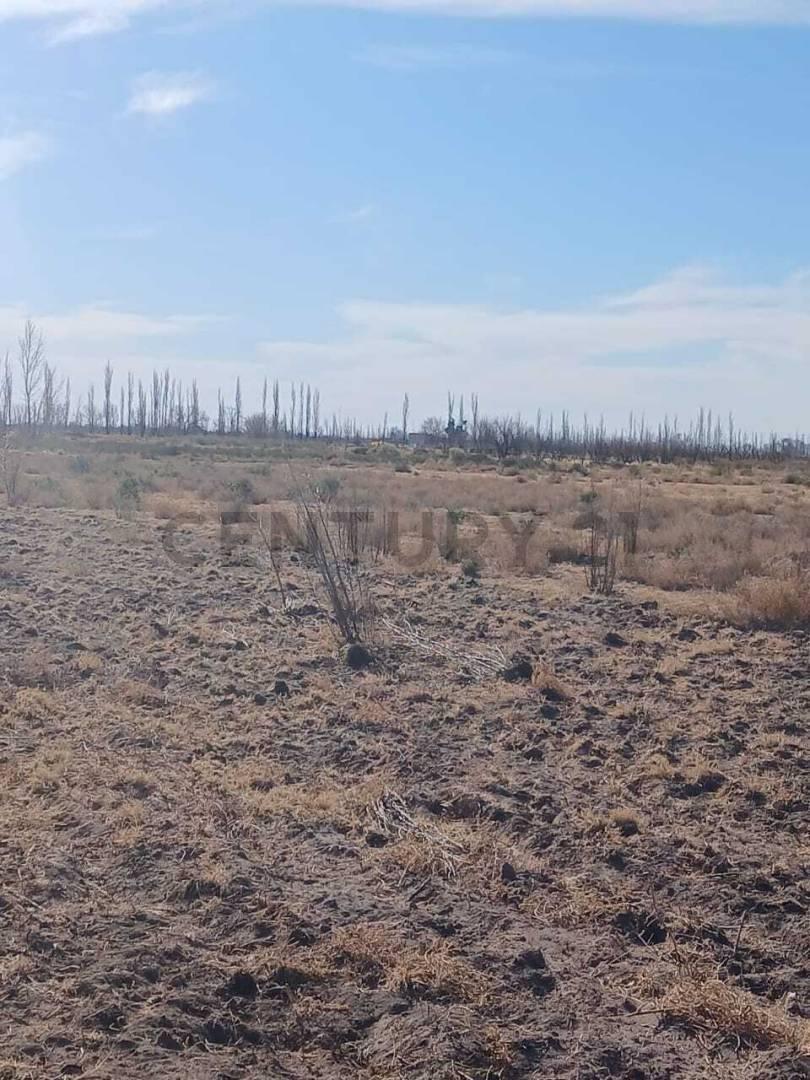 Foto de Se vende terreno en San Rafael, imagen 4
