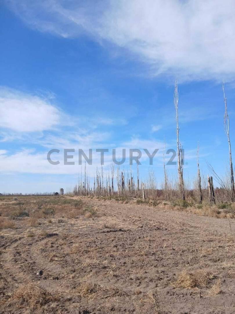 Foto de Se vende terreno en San Rafael, imagen 2