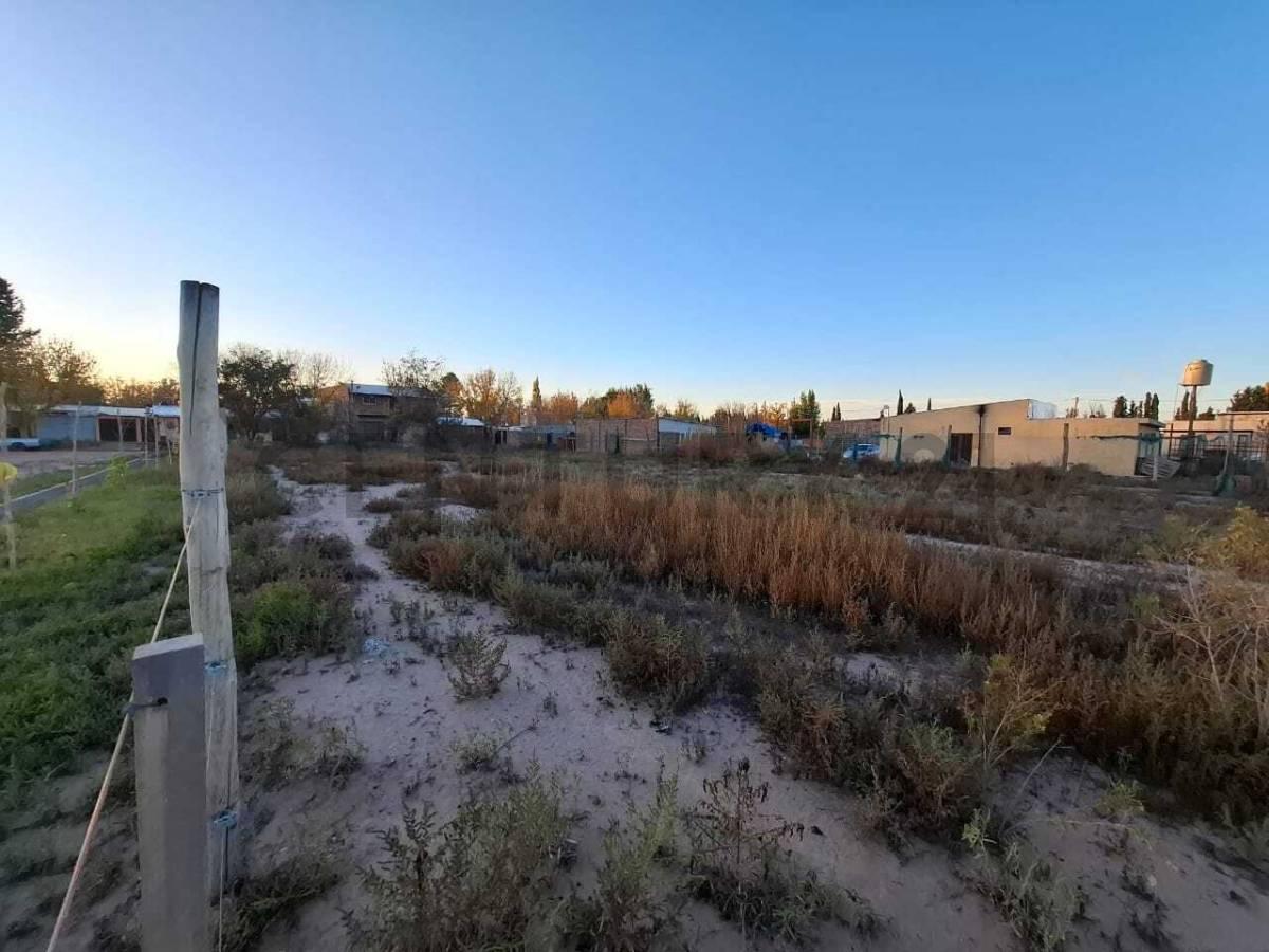 Foto de TERRENO EN VENTA EN PERDRIEL, LUJÁN DE CUYO, imagen 4