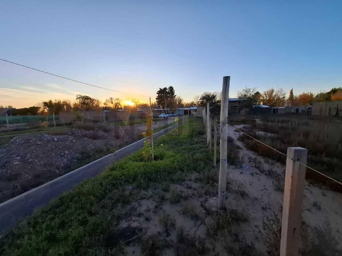 Foto de TERRENO EN VENTA EN PERDRIEL, LUJÁN DE CUYO, imagen 3