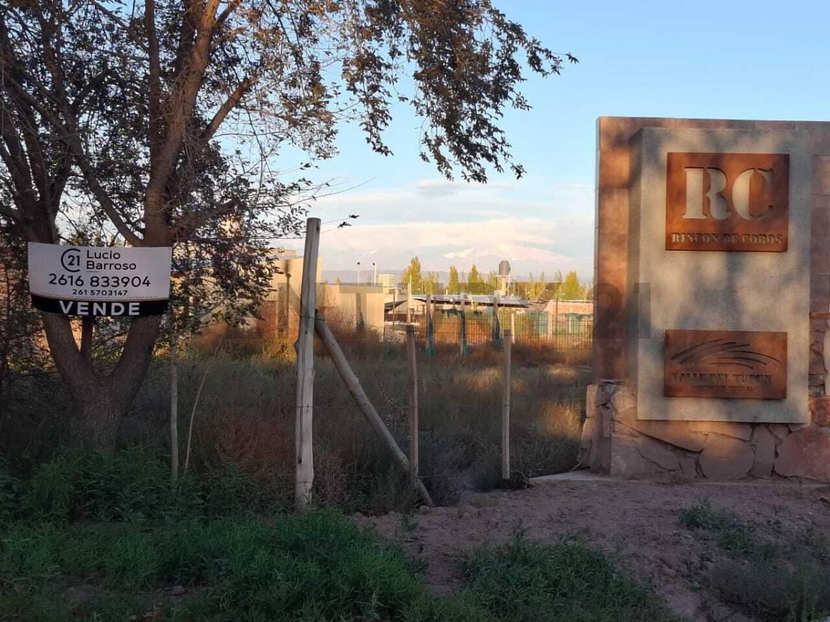 TERRENO EN VENTA EN PERDRIEL, LUJÁN DE CUYO