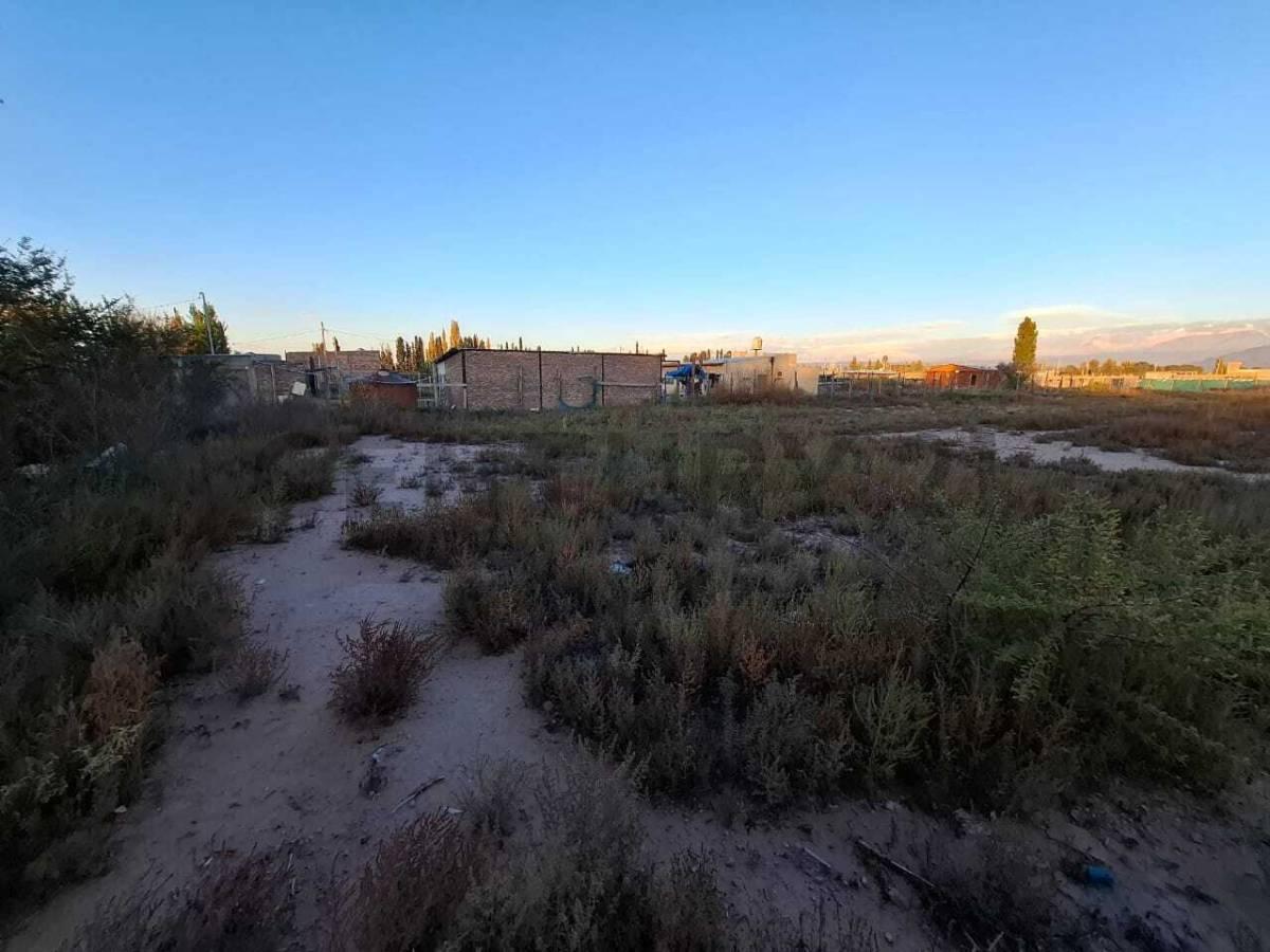 Foto de TERRENO EN VENTA EN PERDRIEL, LUJÁN DE CUYO, imagen 5