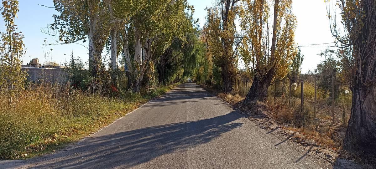 Foto de Venta de Terreno, imagen 5