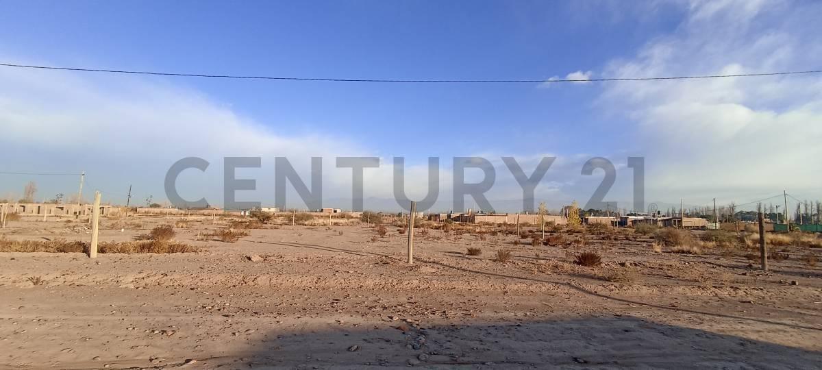 Foto de Venta de Terreno, imagen 2