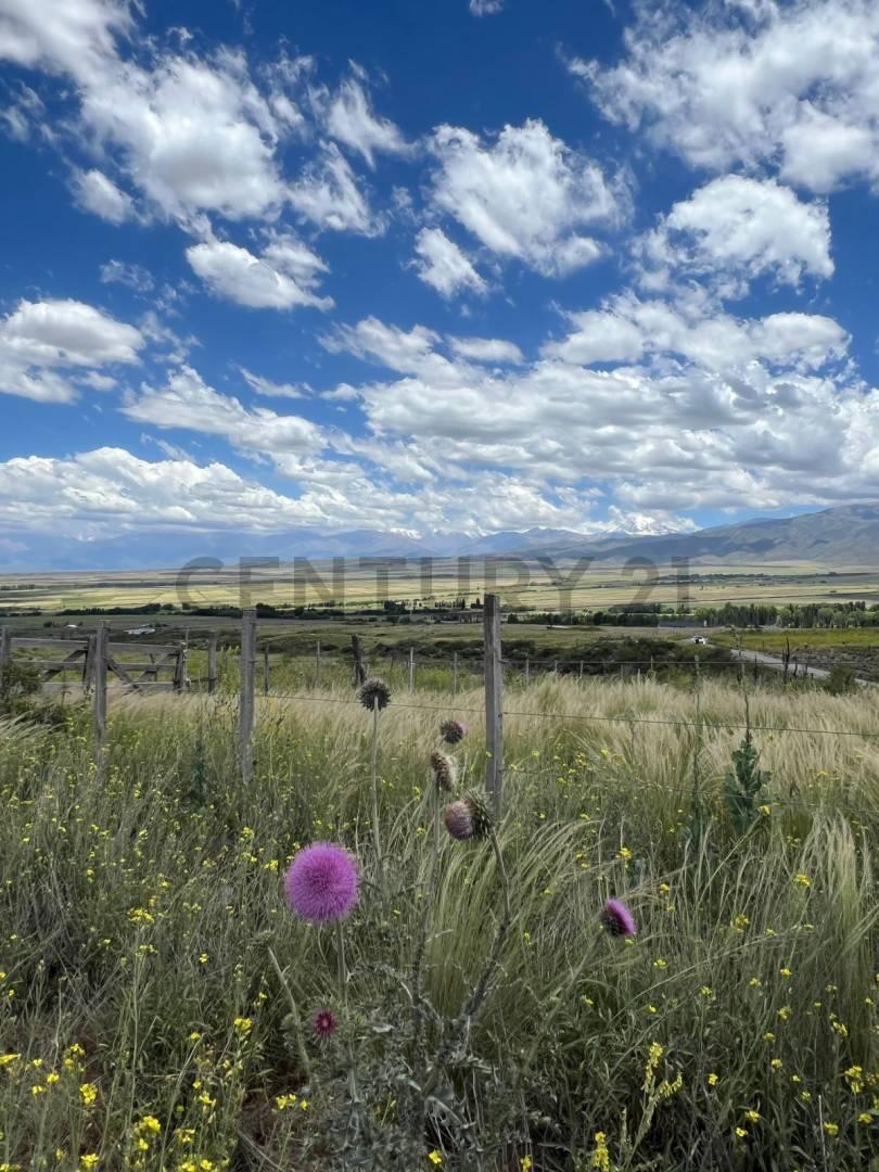 Foto de Venta de Terreno en Tupungato Mendoza, imagen 3