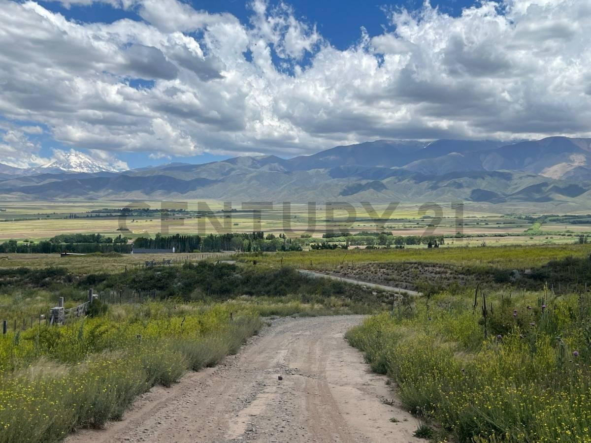Foto de Venta de Terreno en Tupungato Mendoza, imagen 4