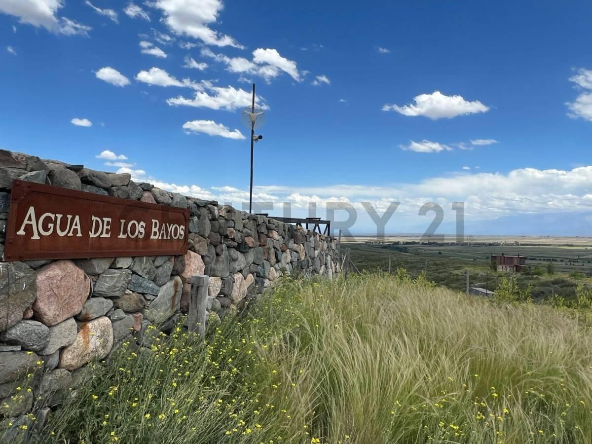 Foto de Venta de Terreno en Tupungato Mendoza, imagen 1