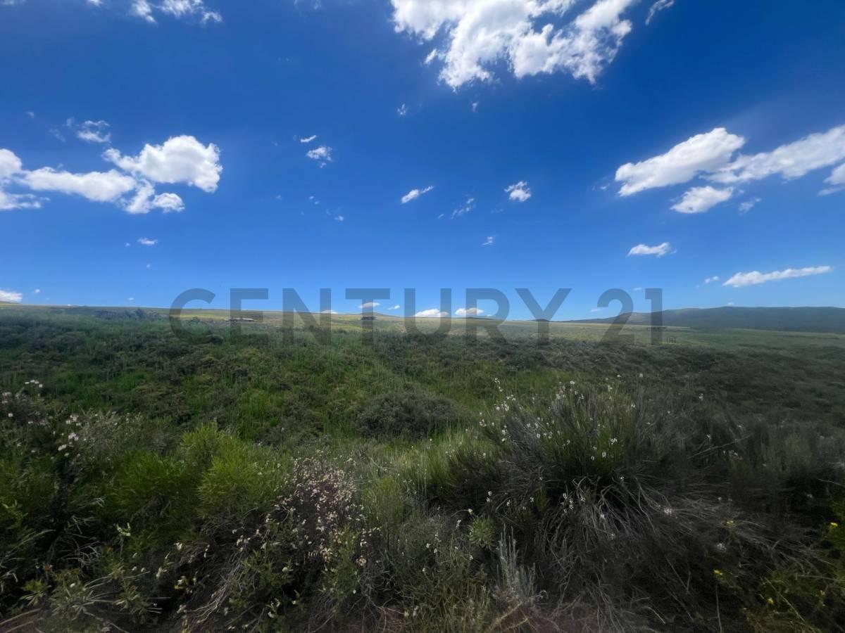 Foto de Venta de Terreno en Tupungato Mendoza, imagen 5