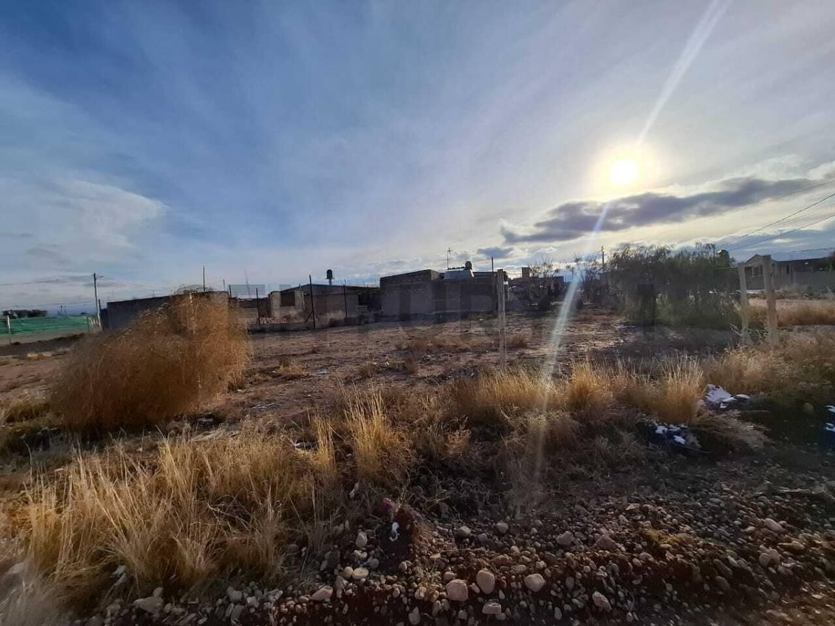 Foto de LOTES EN VENTA, imagen 3