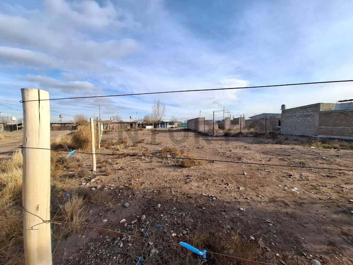 Foto de LOTES EN VENTA, imagen 2