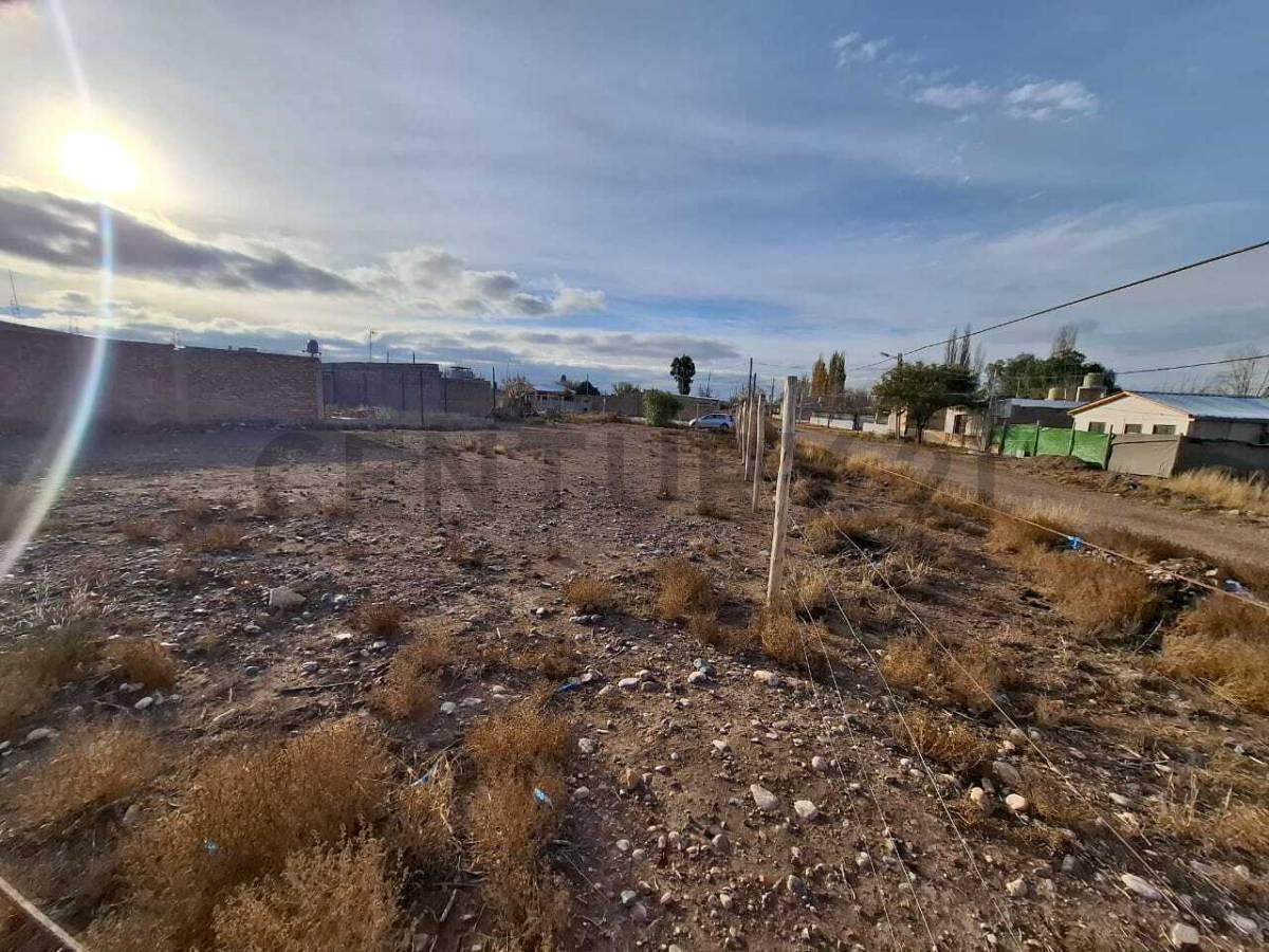 Foto de LOTES EN VENTA, imagen 4