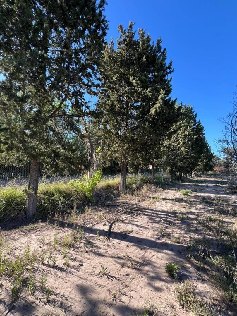 Foto de Terreno en Venta en Maipu, imagen 1