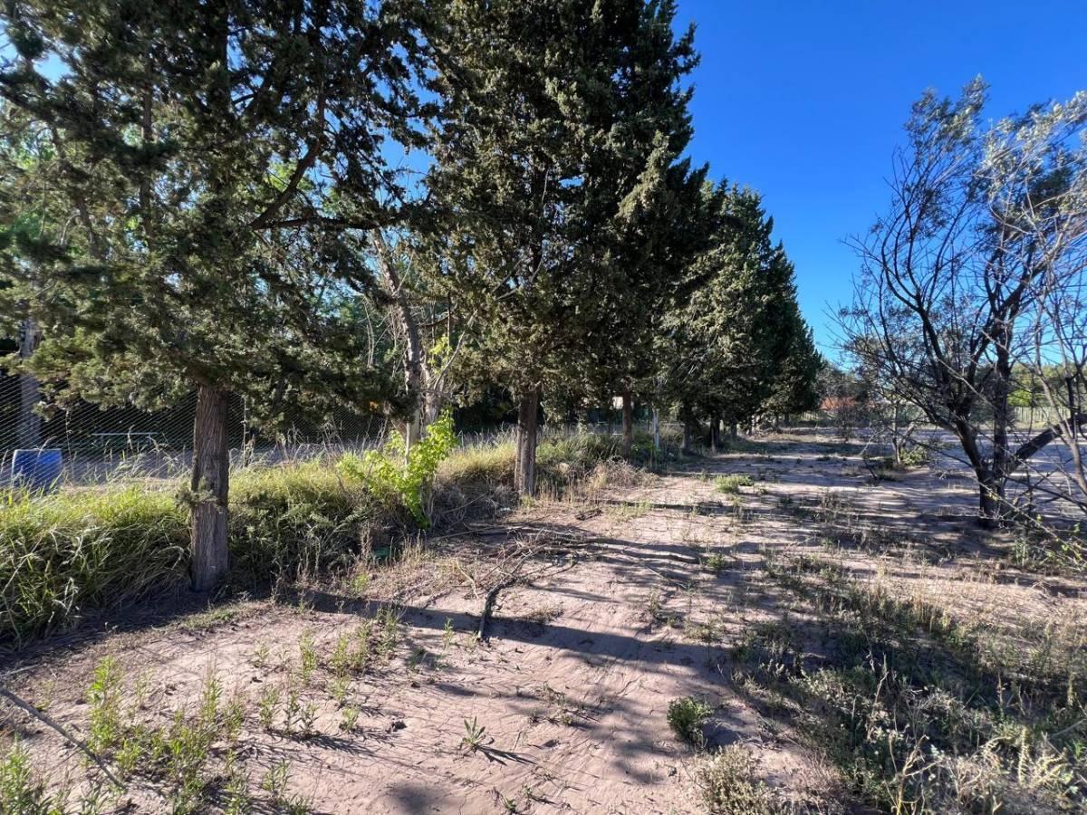 Foto de Terreno en Venta en Maipu, imagen 3