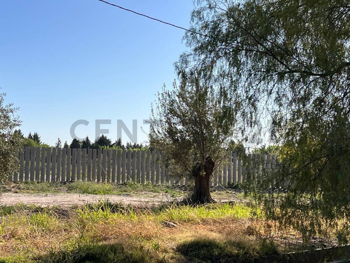 Foto de Terreno en Venta en Maipu, imagen 5