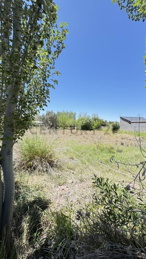 Foto de LOTE EN VENTA, imagen 2