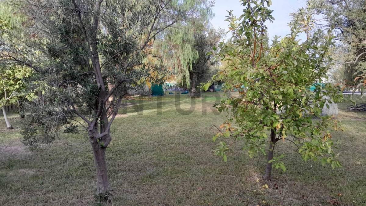 Foto de LOTE EN QUINTAS DE RUSSEL, imagen 3
