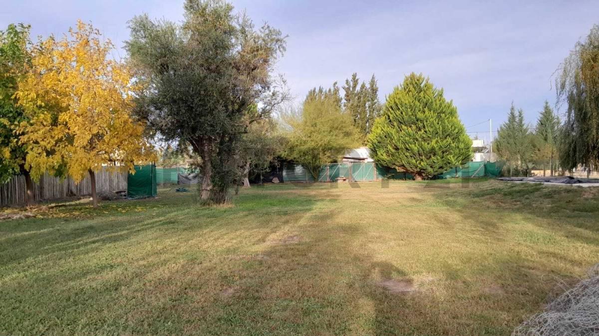 Foto de LOTE EN QUINTAS DE RUSSEL, imagen 5