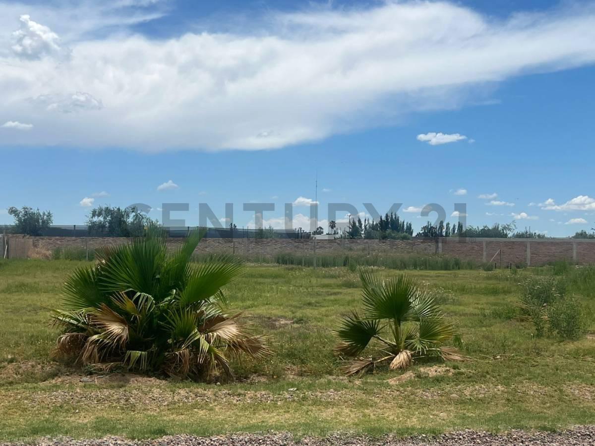 Foto de Terreno en venta Los Corralitos, imagen 1